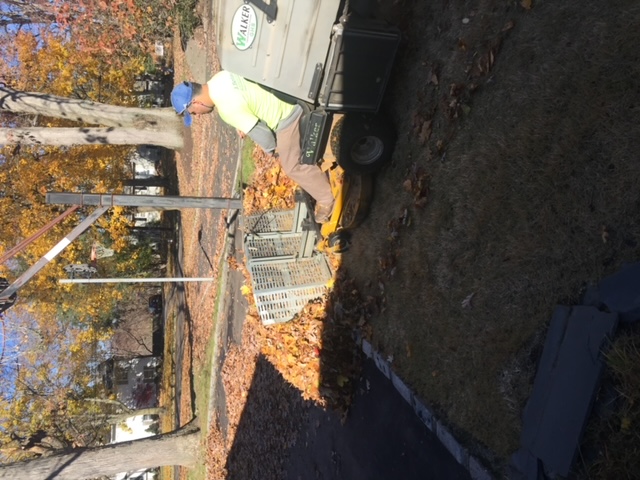 leaf removal